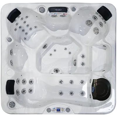 Avalon EC-849L hot tubs for sale in Whitehouse
