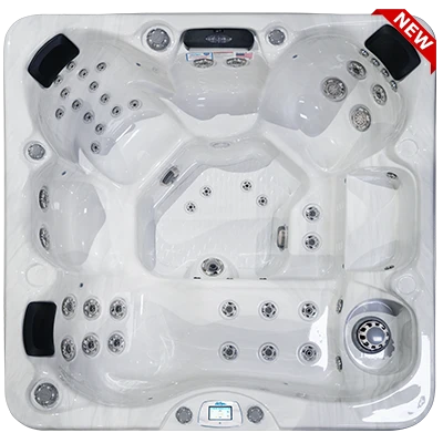 Avalon-X EC-849LX hot tubs for sale in Whitehouse